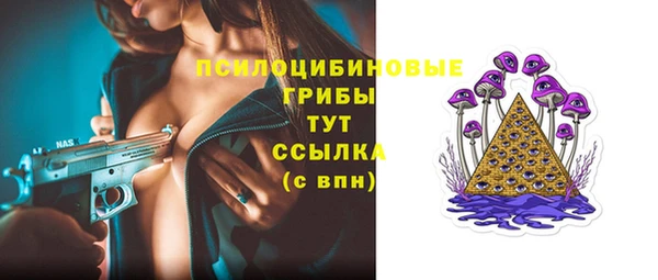 круглые Белокуриха