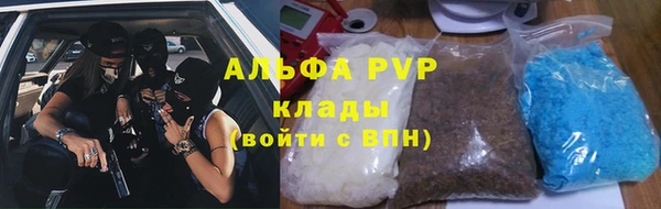 круглые Белокуриха