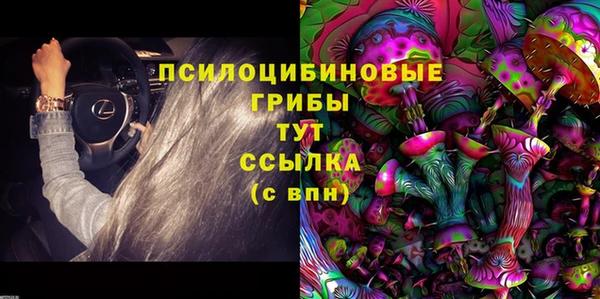 первитин Бородино